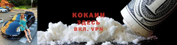 крисы Козельск