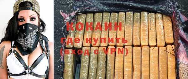 шишки Пестово