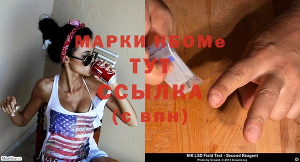 шишки Пестово