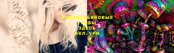 кокс Пересвет