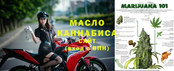 крисы Козельск