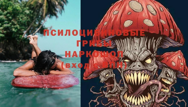 бутират Переславль-Залесский