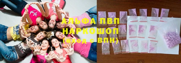 шишки Пестово