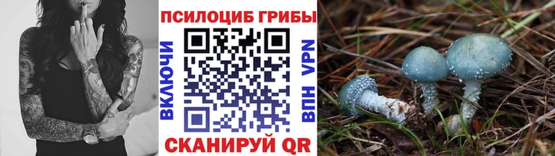 darknet официальный сайт  купить  цена  Свободный  Псилоцибиновые грибы MAGIC MUSHROOMS 