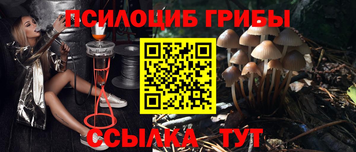 Галлюциногенные грибы Cubensis  Вход с VPN  Свободный 